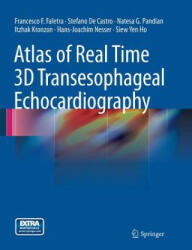 Atlas of Real Time 3D Transesophageal Echocardiography - Stefano De Castro, Francesco F. Faletra, Itzhak Kronzon, Hans-Joachim Nesser, Natesa G. Pandian, Siew Yen Ho (ISBN: 9781447168881)
