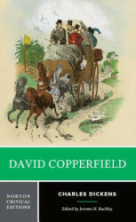 David Copperfield - Charles Dickens (ISBN: 9780393958287)