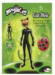 Eu sunt Cat Noir. Colectia Miraculous - Iuliana Voicu (ISBN: 9786060092988)