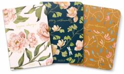 Gracelaced Lined Notebooks, Set of 3, Rejoice, Pray, Give - Ruth Chou Simons (ISBN: 9780736982597)