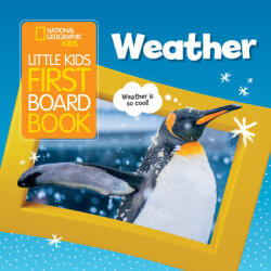 Little Kids First Board Book Weather - Ruth Musgrave (ISBN: 9781426339035)