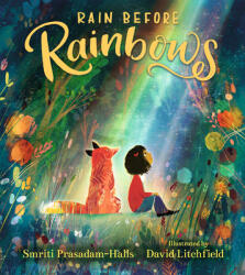 Rain Before Rainbows - David Litchfield (ISBN: 9781536212839)