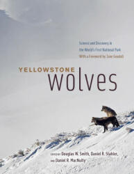 Yellowstone Wolves - Daniel Stahler, Daniel R. Macnulty (ISBN: 9780226728346)
