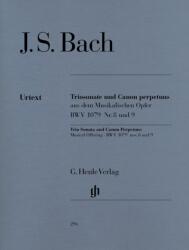 TRIOSONATE UND CANON PERPETUUS BWV 1079 NR. 8 UND 9 URTEXT (ISBN: 9786440213286)