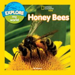 Explore My World: Honey Bees - Jill Esbaum (ISBN: 9781426327131)