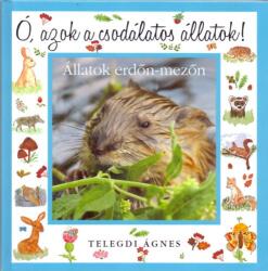 Állatok erdőn-mezőn (ISBN: 9789638795571)