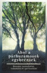 Ahol a párhuzamosok egybeérnek (2021)