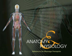 Anatomy & Physiology Reference for Massage Therapists, Spiral bound Version - Milady (2012)