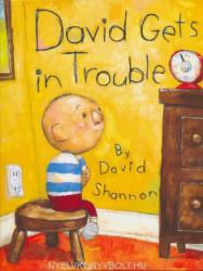 David Shannon: David Gets In Trouble (2009)