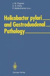 Helicobacter Pylori and Gastroduodenal Pathology (2012)