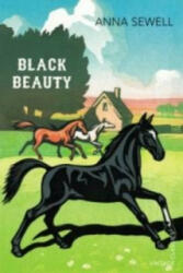 Black Beauty (2012)