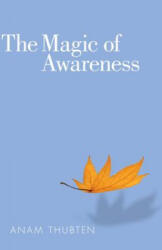 Magic of Awareness - Anam Thubten (2012)