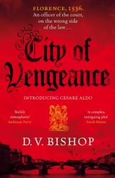 City of Vengeance (ISBN: 9781529038774)