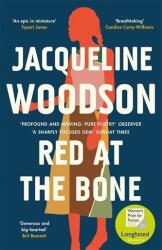 Red at the Bone (ISBN: 9781474616454)