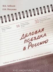 Handbook - V. Lebedev (ISBN: 9785865476252)