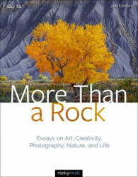 More Than a Rock (ISBN: 9781681986838)
