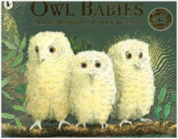 Owl Babies - Martin Waddell (ISBN: 9781406349573)