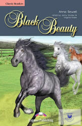 Black Beauty. Retold - Virginia Evans (ISBN: 9781849741309)