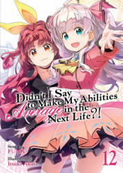 Didn't I Say to Make My Abilities Average in the Next Life? ! (Light Novel) Vol. 12 - Itsuki Akata (2021)