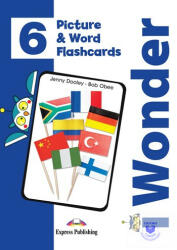 I-Wonder 6 Picture & Word Flashcards (ISBN: 9781471586460)