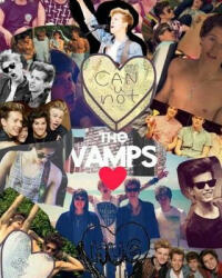 The Vamps Diary - Darrell Butters (ISBN: 9781979131476)