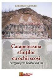 Catapeteasma sfinților cu ochii scoși (ISBN: 9786068756813)