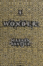 I Wonder - Marian Bantjes (ISBN: 9780500515297)