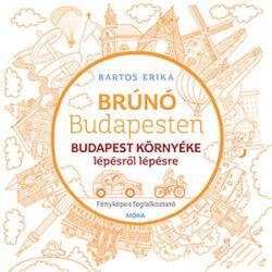 Budapest környéke lépésről lépésre (ISBN: 9789634867920)