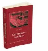 Cutremurarea temeliilor - Paul Tillich (ISBN: 9789737970886)