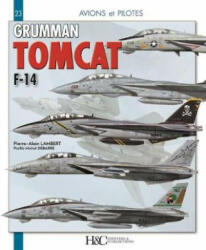 Grumman F-14 Tomcat - Pierre-Alain Lambert (2018)