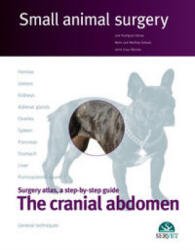 CRANIAL ABDOMEN SMALL ANIMAL SURGERY - JOS RODRIGUEZ (ISBN: 9788492569854)