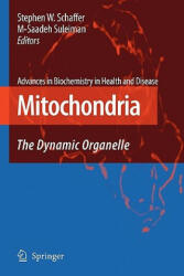 Mitochondria - Stephen W. Schaffer, M. Saadeh Suleiman (ISBN: 9781441924186)