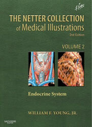 Netter Collection of Medical Illustrations: The Endocrine System - William F Young (ISBN: 9781416063889)