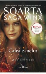 Soarta: Saga Winx. Calea Zânelor (ISBN: 9786069507957)