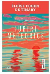 Iubiri meteorice (ISBN: 9786064009265)