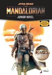 Star Wars: The Mandalorian Junior Novel (ISBN: 9781368057134)