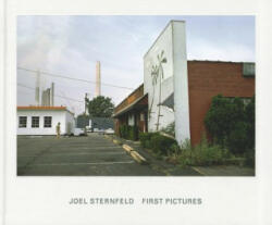 Joel Sternfeld: First Pictures (2012)