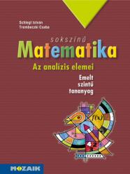 Sokszínű matematika tankönyv 12. osztály (2012)