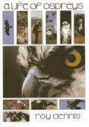 Life of Ospreys (2012)