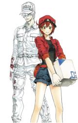 Cells at Work! Complete Manga Box Set! - Kodansha America, Inc (ISBN: 9781646512522)