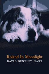 Roland in Moonlight - David Bentley Hart (ISBN: 9781621386933)