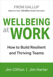 Wellbeing At Work - JIM CLIFTON (ISBN: 9781595622419)