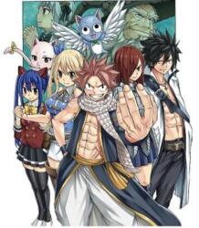 FAIRY TAIL: 100 Years Quest 8 (ISBN: 9781646512331)