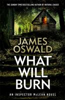 What Will Burn (ISBN: 9781472276148)