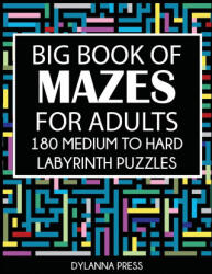 Big Book of Mazes for Adults - DYLANNA PRESS (ISBN: 9781647900786)