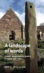 A Landscape of Words: Ireland Britain and the Poetics of Space 700-1250 (ISBN: 9781526160751)