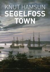 Segelfoss Town (ISBN: 9780578882628)