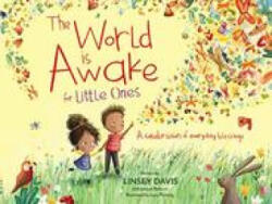 World Is Awake for Little Ones - Lucy Fleming, Joseph Bottum (ISBN: 9780310751823)