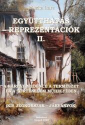 Együtthatás-reprezentációk II (ISBN: 9786156060341)