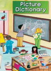 Picture Dictionary - Lawrence Mamas (ISBN: 9781781641033)